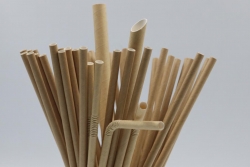 石總經(jīng)理采訪(fǎng)總提綱（精品）